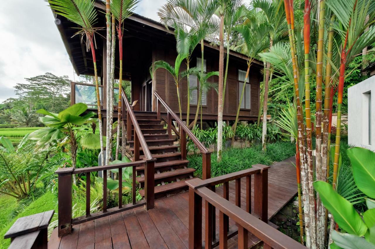 Villa Kembang Bali Ubud Екстер'єр фото
