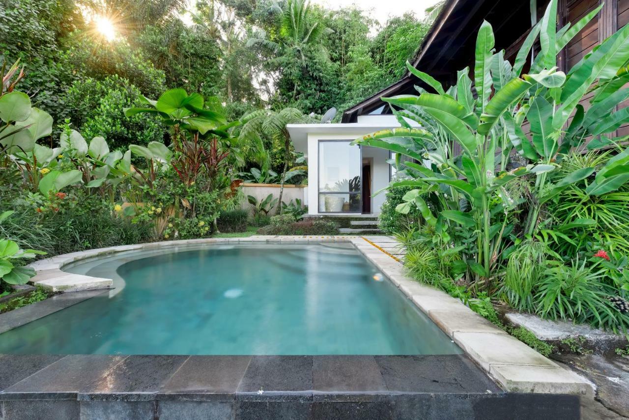 Villa Kembang Bali Ubud Екстер'єр фото