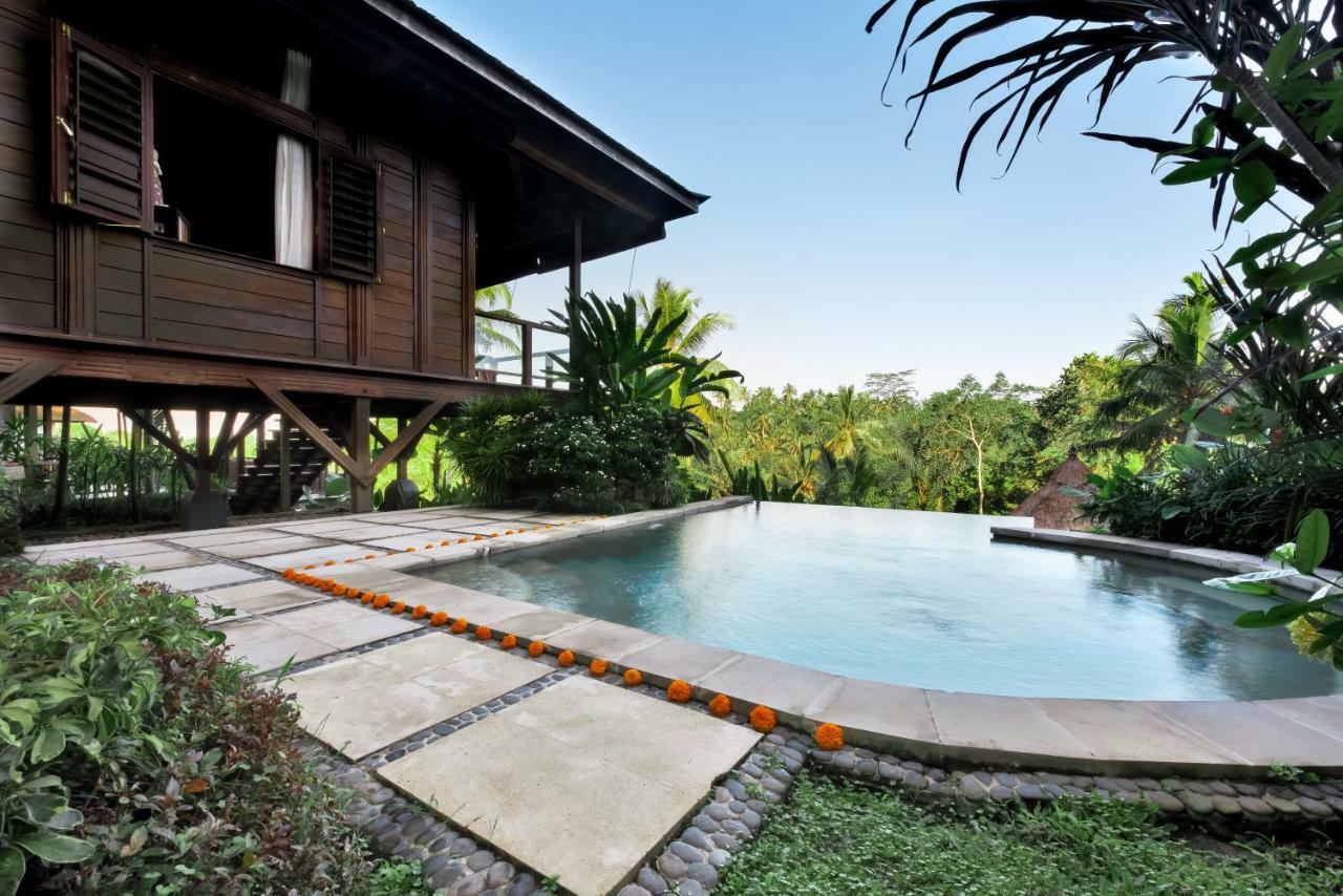 Villa Kembang Bali Ubud Екстер'єр фото